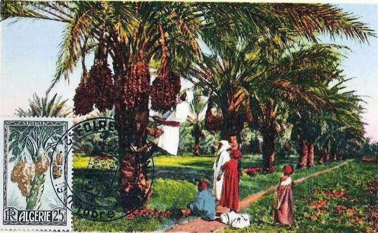 TIMBRES DE LA FOIRE D ORAN 1952   (9).jpg